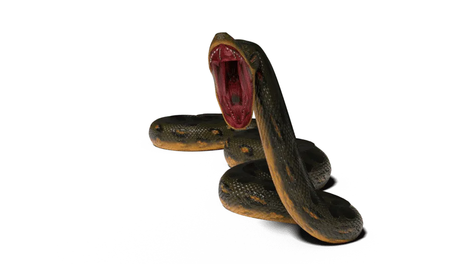 anaconda striking pose, mid-attack, jungle survival png